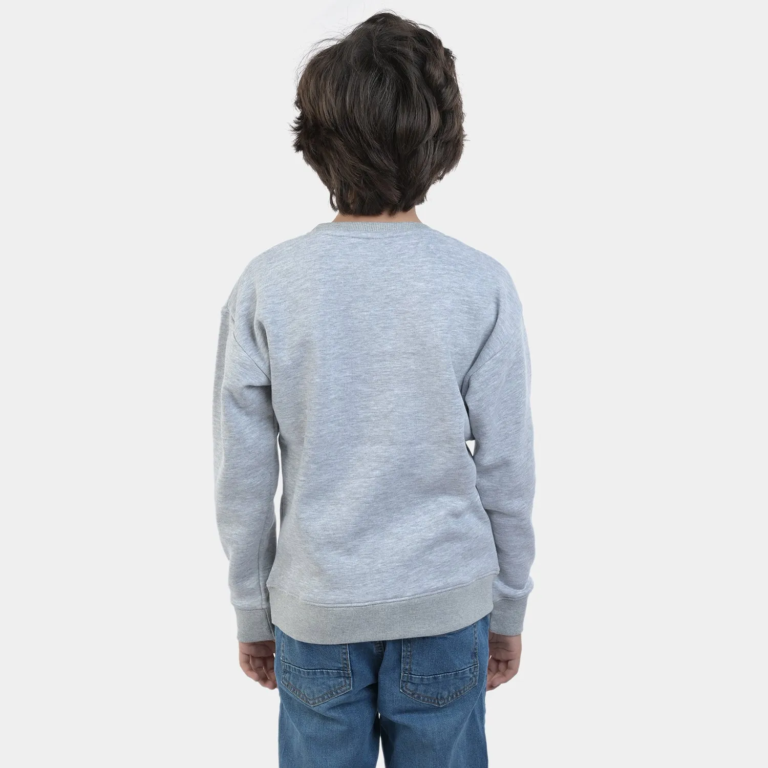 Boys Fleece Sweatshirt -GREY