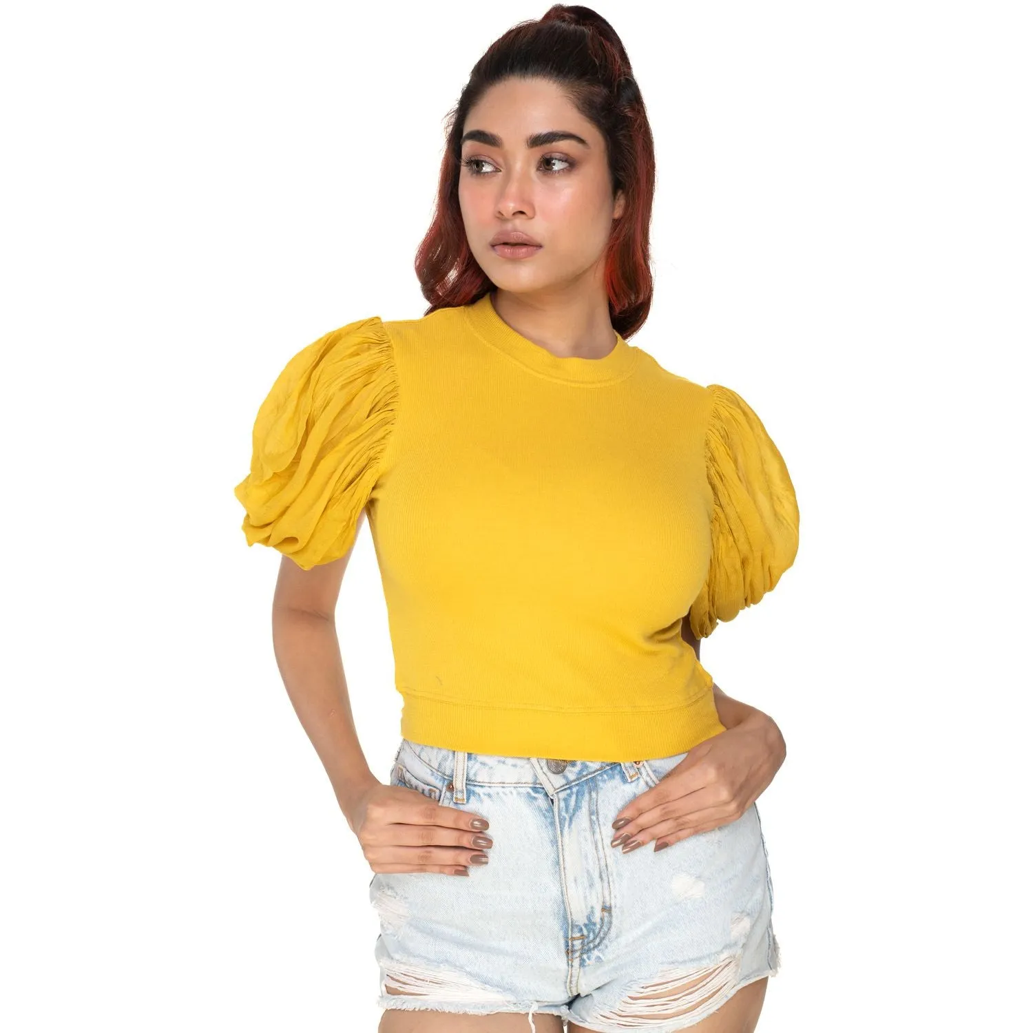 Hosiery Blouses - Mesh Pleated Sleeves